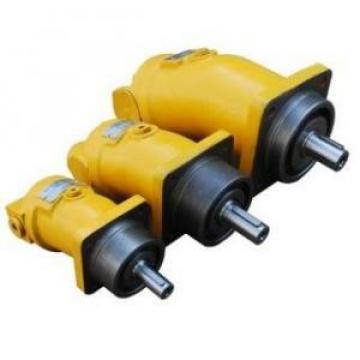 A2F10W4S1  A2F Series Fixed Displacement Piston Pump supply