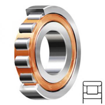 NSK N307ET services Cylindrical Roller Bearings