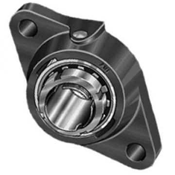 INA RCJTA30N Flange Block Bearings