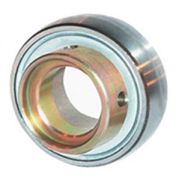 INA RAE30-NPP-B Insert Bearings Spherical OD