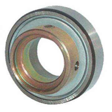  RAE17-NPP-FA106 Insert Bearings Cylindrical OD