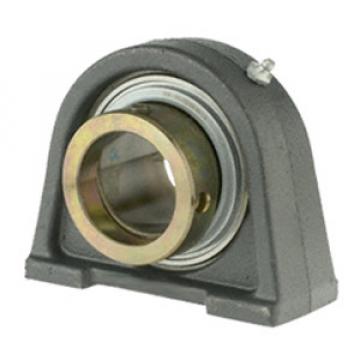 INA RSHEY40 Pillow Block Bearings