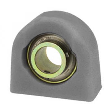 SKF ZTB102ZM Pillow Block Bearings