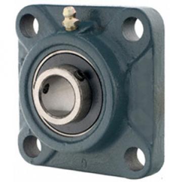 NTN UCF205-013D1 Flange Block Bearings