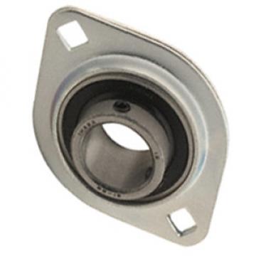 INA RATY25 Flange Block Bearings