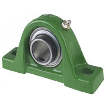 INA RASEY45 Pillow Block Bearings