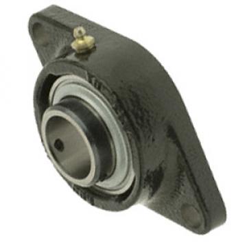 INA RCJTY20-N Flange Block Bearings