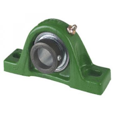 INA TASE25 Pillow Block Bearings