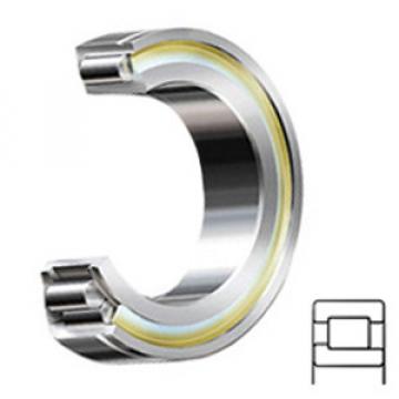 INA SL192314 services Cylindrical Roller Bearings