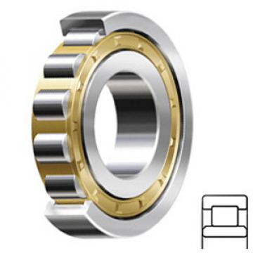 NSK NU206M Cylindrical Roller Bearings