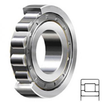 NSK NJ220W Cylindrical Roller Bearings