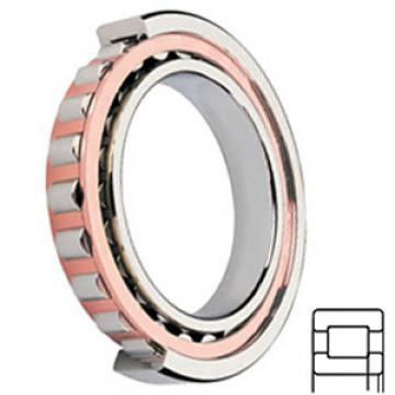 NSK NUP214ET services Cylindrical Roller Bearings