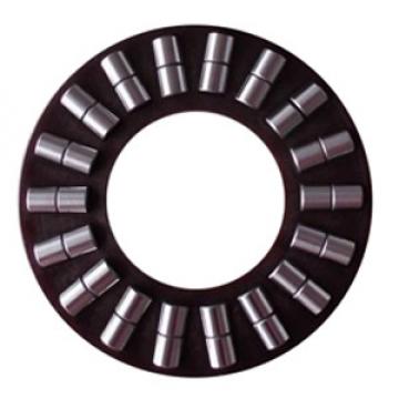 INA K89413TN Thrust Roller Bearing