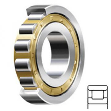 FAG BEARING N206-E-M1-C3 services Cylindrical Roller Bearings