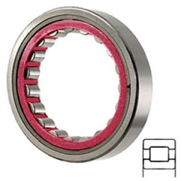 SKF RNU 304 services Cylindrical Roller Bearings