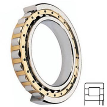 FAG BEARING NUP218-E-M1 Cylindrical Roller Bearings