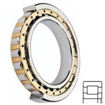 FAG BEARING NUP234-E-M1-C3 services Cylindrical Roller Bearings