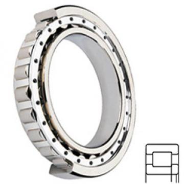 SKF NUP 211 ECJ/C3 Cylindrical Roller Bearings