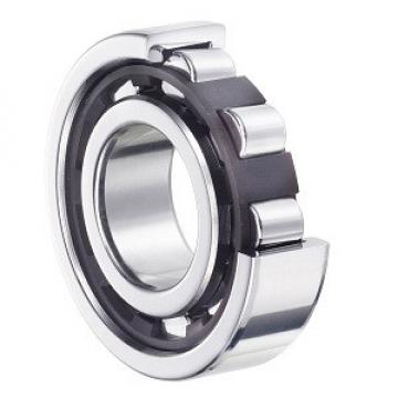 NSK NJ209EW services Roller Bearings