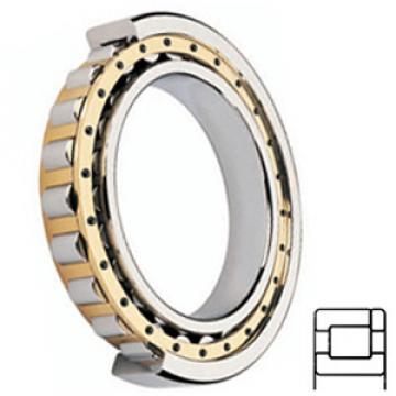 TORRINGTON NP51/648M Cylindrical Roller Bearings