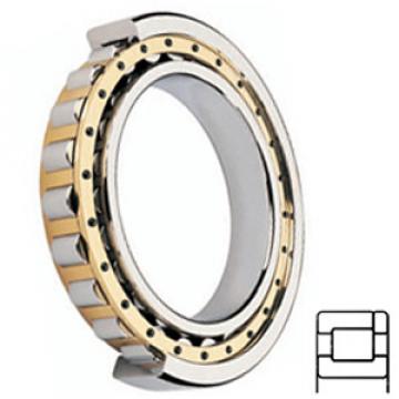 TORRINGTON NP52/667M services Cylindrical Roller Bearings