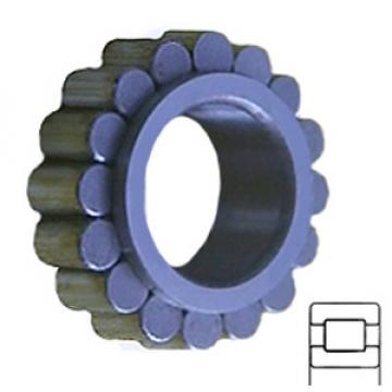 INA RSL182205A Cylindrical Roller Bearings