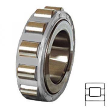 NTN MU1307V services Cylindrical Roller Bearings