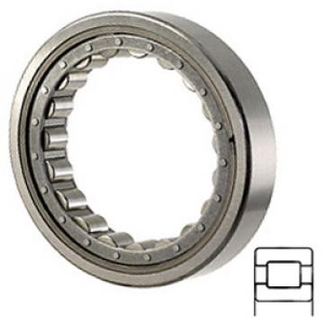 NTN M5206EL Cylindrical Roller Bearings