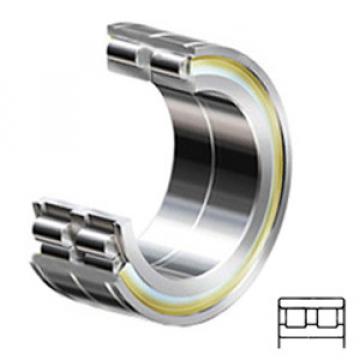 INA SL024918 C3 services Cylindrical Roller Bearings
