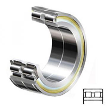 INA SL06018-E services Cylindrical Roller Bearings