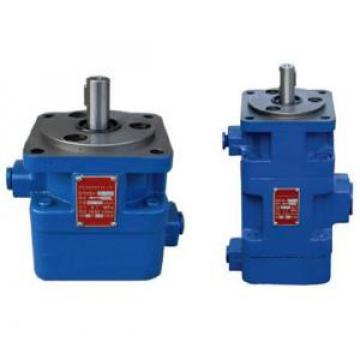 YB1 Type Double Vane Pump YB1-2.5/2.5