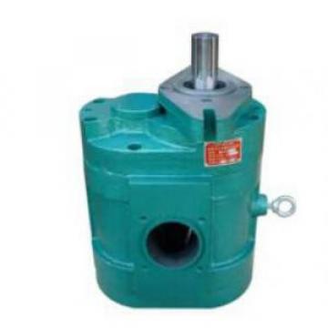 DCB-B600 Low Noise Large Flow Gear Pump