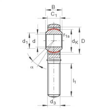 FAG Rod ends - GAKL22-PW