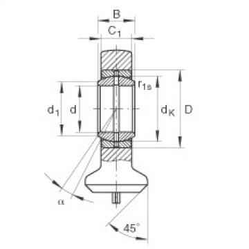 FAG Hydraulic rod ends - GK35-DO