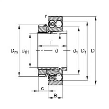 FAG Self-aligning ball bearings - 1318-K-M-C3 + H318