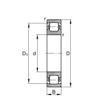 FAG Barrel roller bearings - 20212-TVP