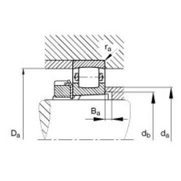 FAG Barrel roller bearings - 20213-K-TVP-C3 + H213