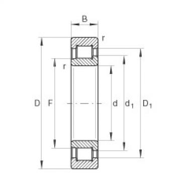 FAG Cylindrical roller bearings - SL192306-XL