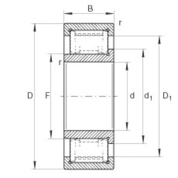 FAG Cylindrical roller bearings - ZSL192309