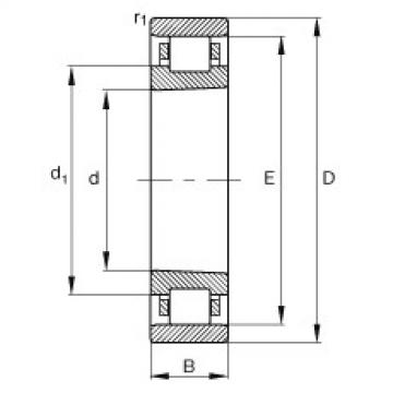 FAG Cylindrical roller bearings - N1006-K-M1-SP