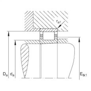 FAG Cylindrical roller bearings - N1006-K-M1-SP