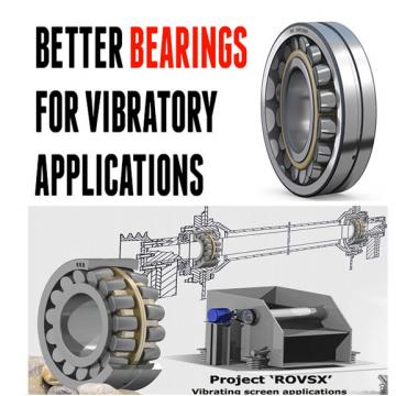 FAG Vibratory Machinery Roller Bearings 1687/810