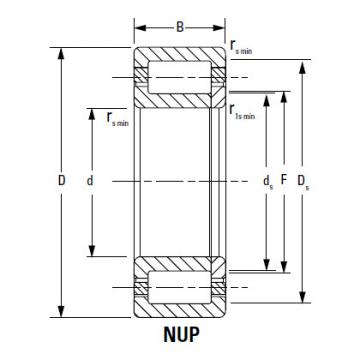 Bearing NJ2326EMA