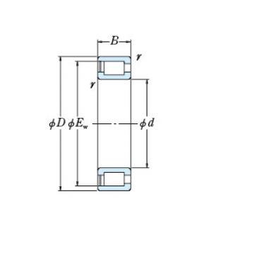 Bearing RSF-48/500E4