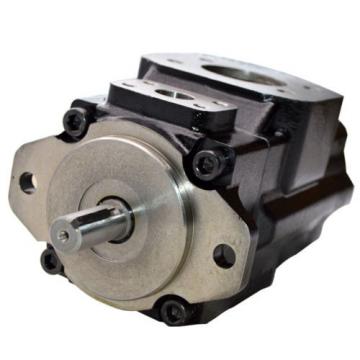 Double Hydraulic Vane Pump Replacement Denison T6CC-017-014-5R02-C100