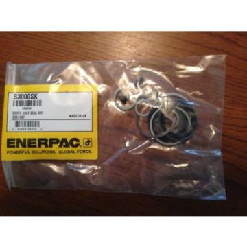 enerpac hydraulic torque wrench repair kit s3000sk drive seal