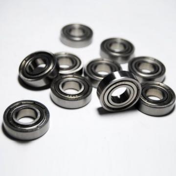 SR8ZZ Stainless Steel Radial Bearing Set of 10