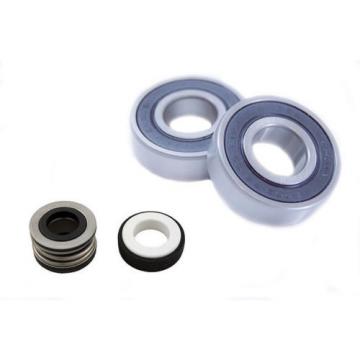 Pool &amp; Spa Motor Bearing Kit &amp; Shaft Seal USQ1102 USQ1152 UST1102 UST1152 K104