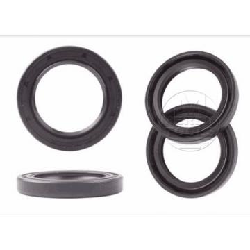 Select Size ID 125-160mm TC Double Lip Rubber Rotary Shaft Oil Seal with Spring