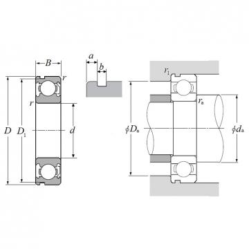 60/32ZNC3, Single Row Radial Ball Bearing - Single Shielded w/ Snap Ring Groove